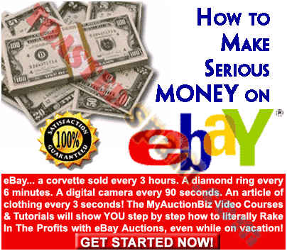 toastedspam.com ensie.info 0001 - 2004-02-13	myauctionbiz - www.ensie.info mailto:lafhg1@netscape.net